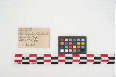 Etikett zu Bronzevasenkopfnadel (NHMW-PRAE-025377)